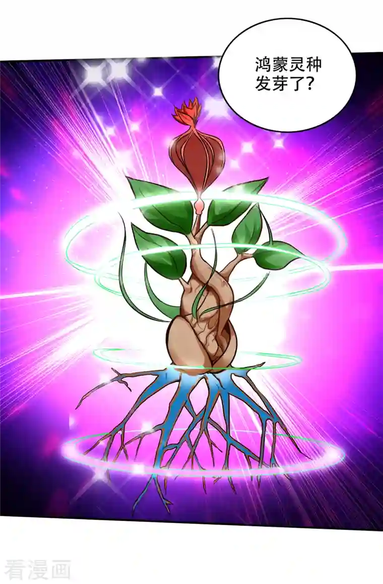 最强神医混都市第213话 鸿蒙灵种发芽了