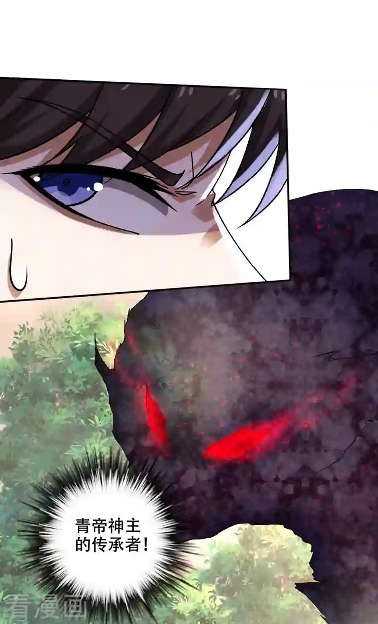 最强神医混都市第215话 青帝神主的考核