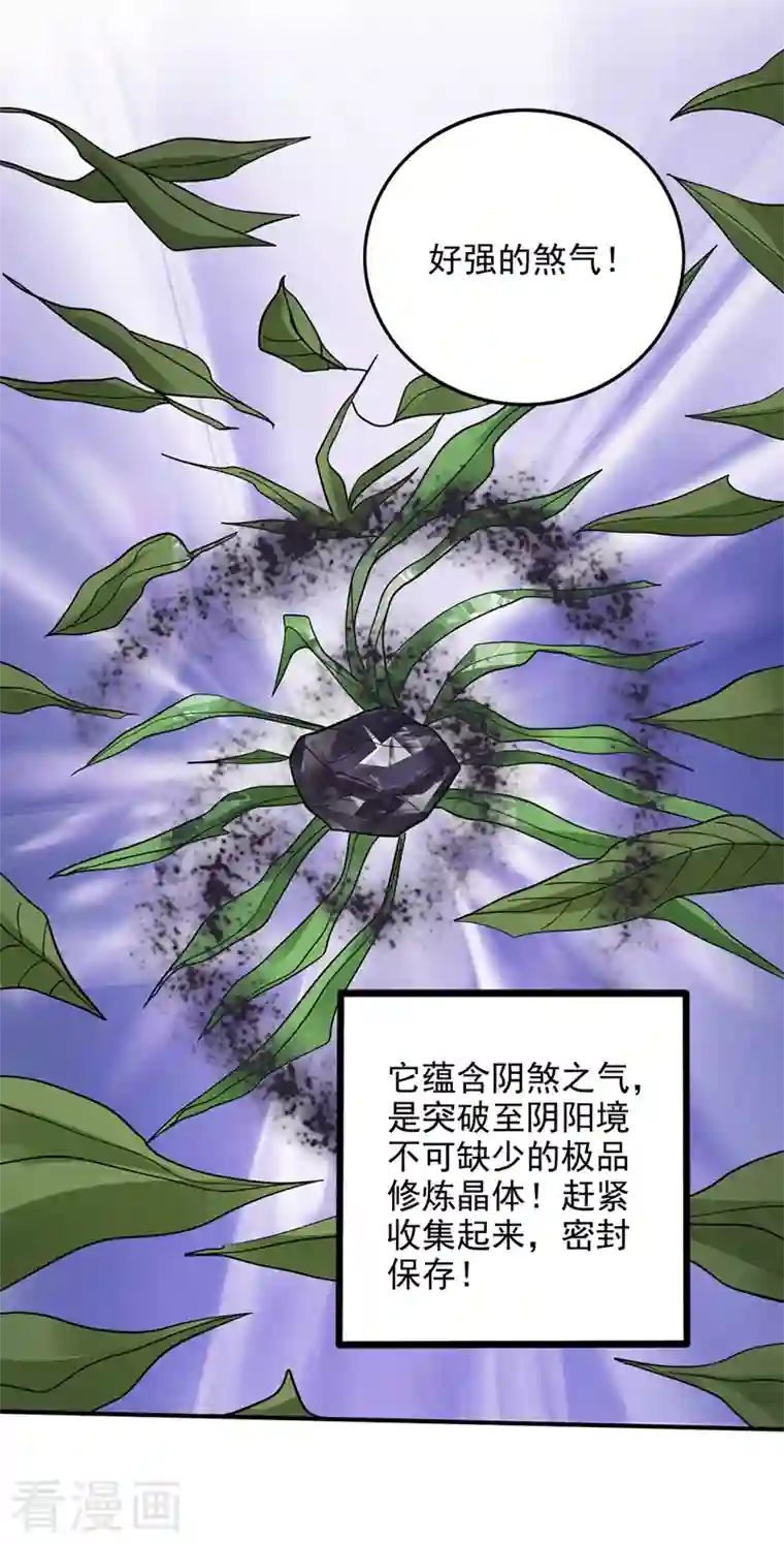 最强神医混都市第229话 把古神魂珠抢过来！