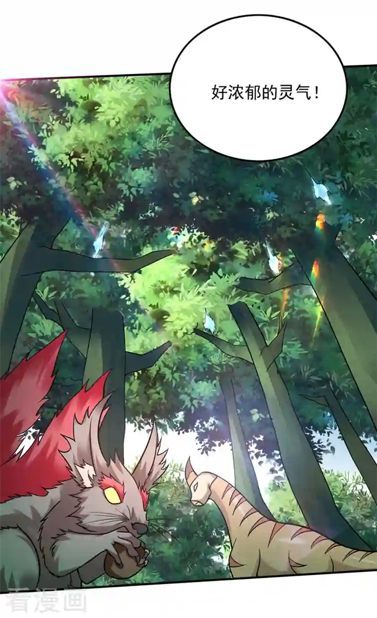 最强神医混都市第229话 把古神魂珠抢过来！