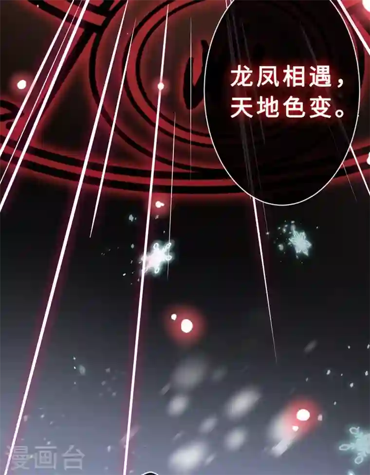 兽黑狂妃第10话 命中注定你是本王的妻