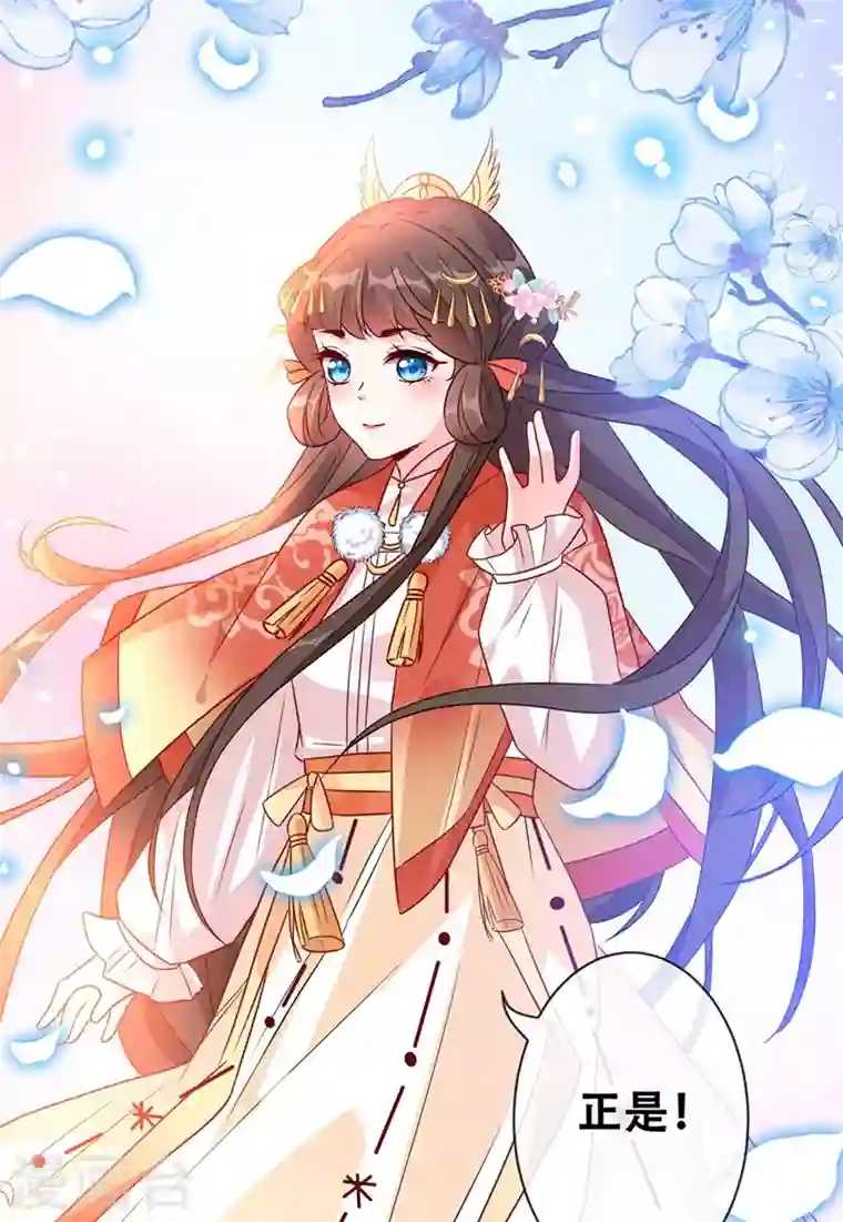 兽黑狂妃第32话 参加宫宴