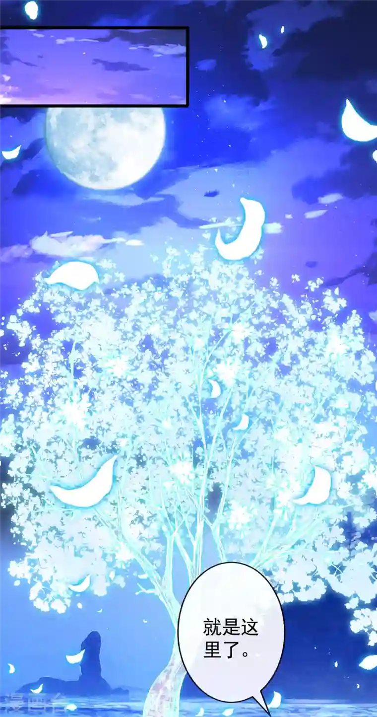 兽黑狂妃第85话 本王……要离开了