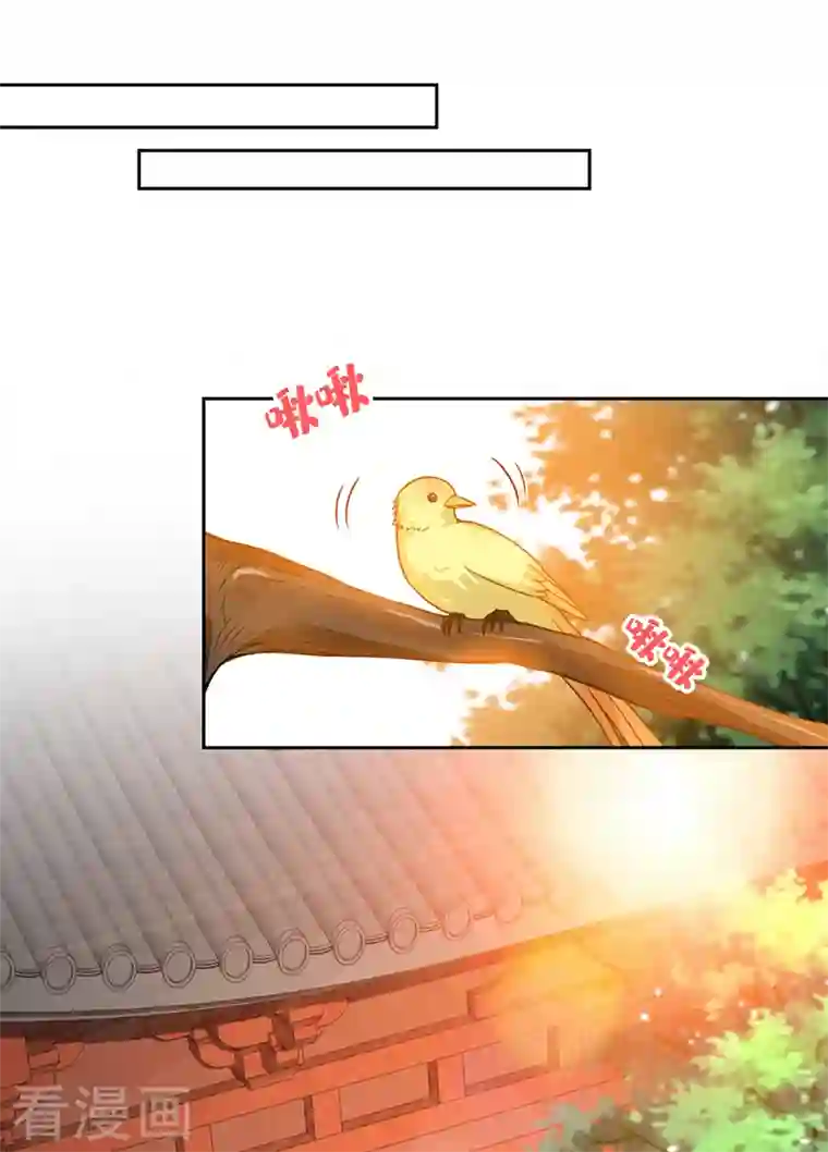 兽黑狂妃第106话 你这是在向我求婚？