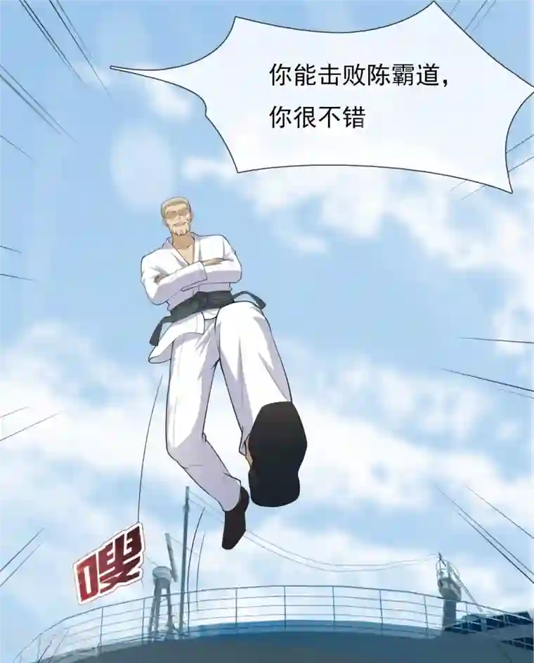 镇国主宰第147话 叶家，叶无形