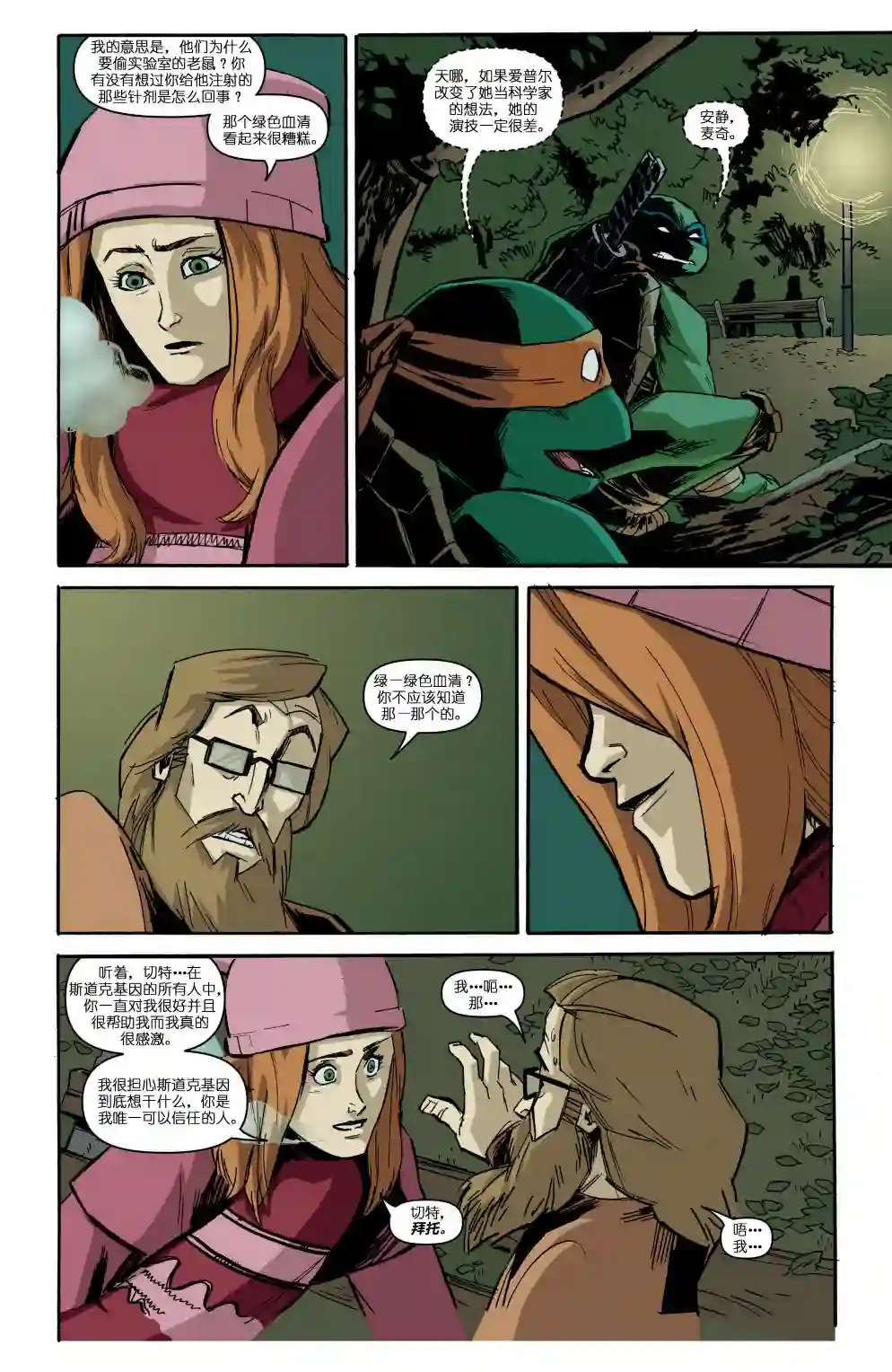 忍者神龟2011第17卷