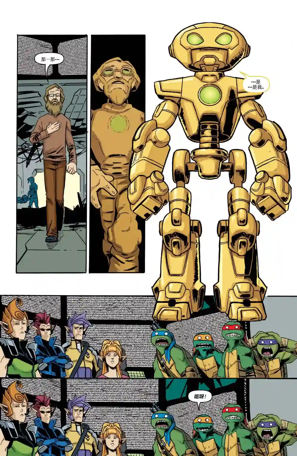 忍者神龟2011第18卷