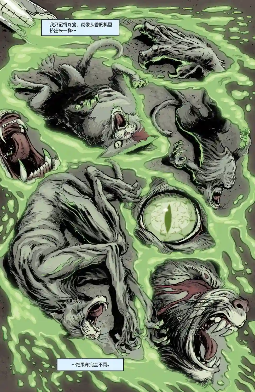 忍者神龟2011反派小传·老猫霍勃