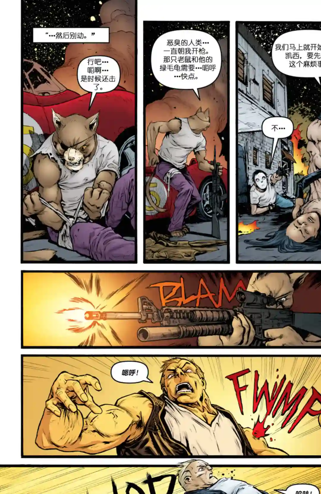 忍者神龟2011第28卷