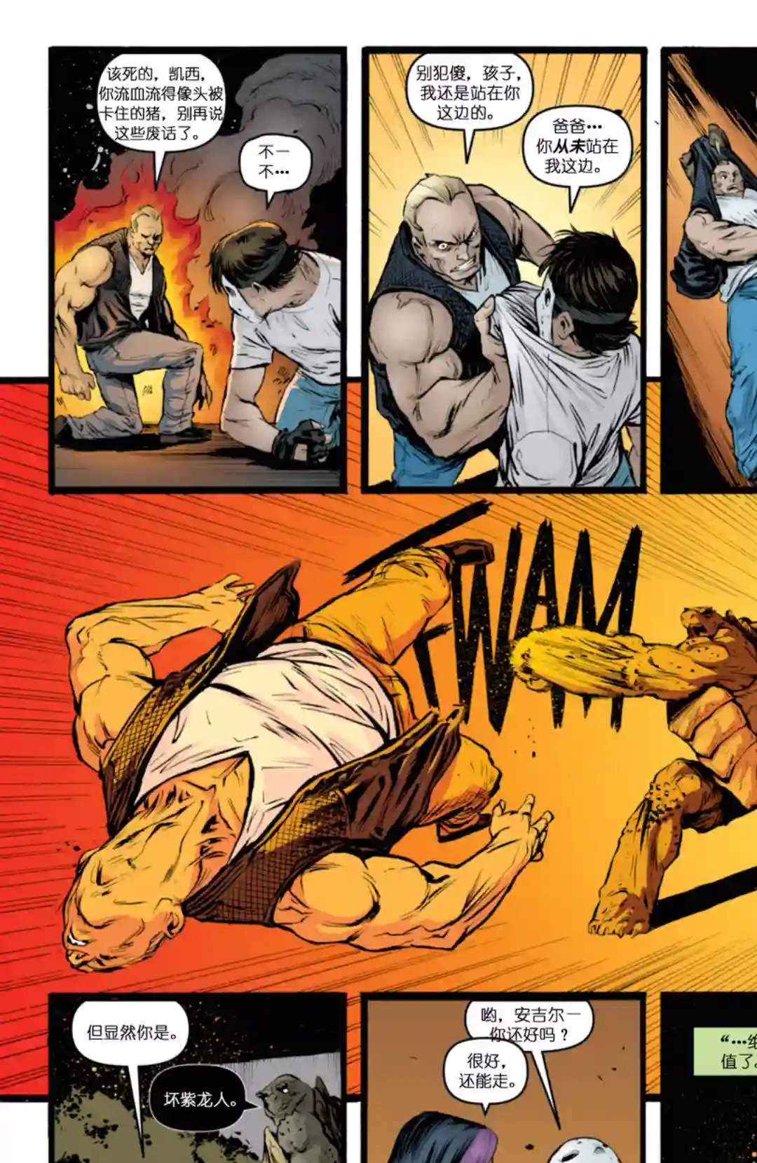 忍者神龟2011第28卷