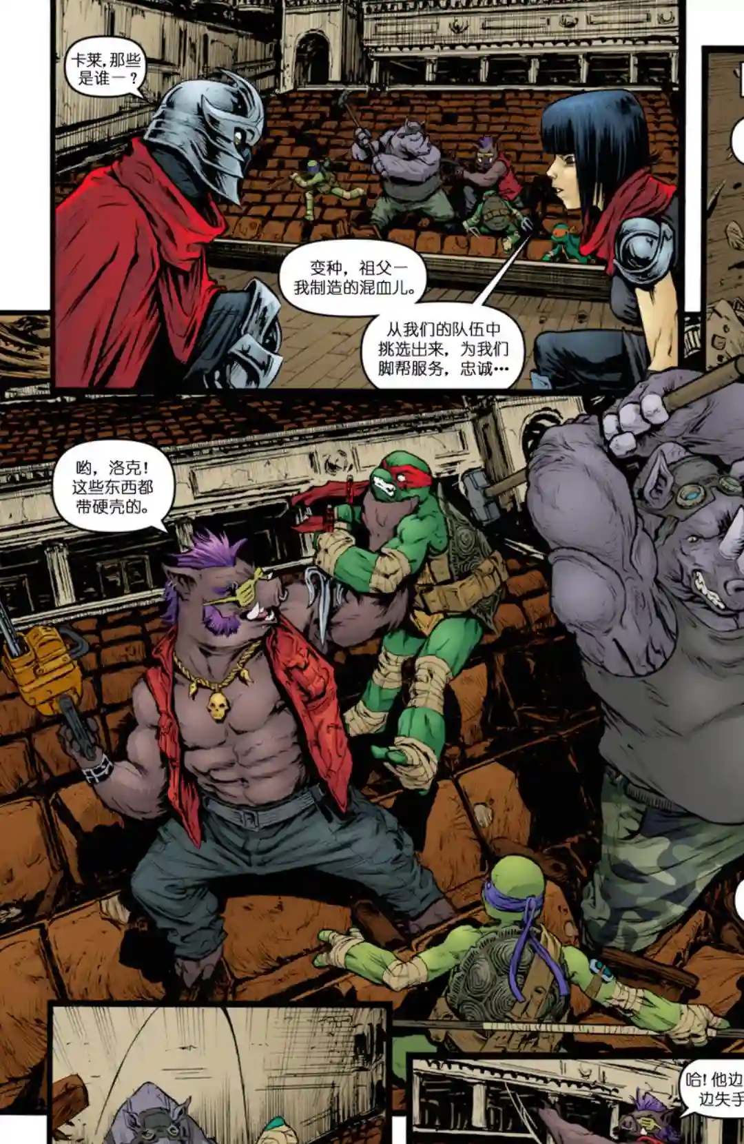 忍者神龟2011第28卷