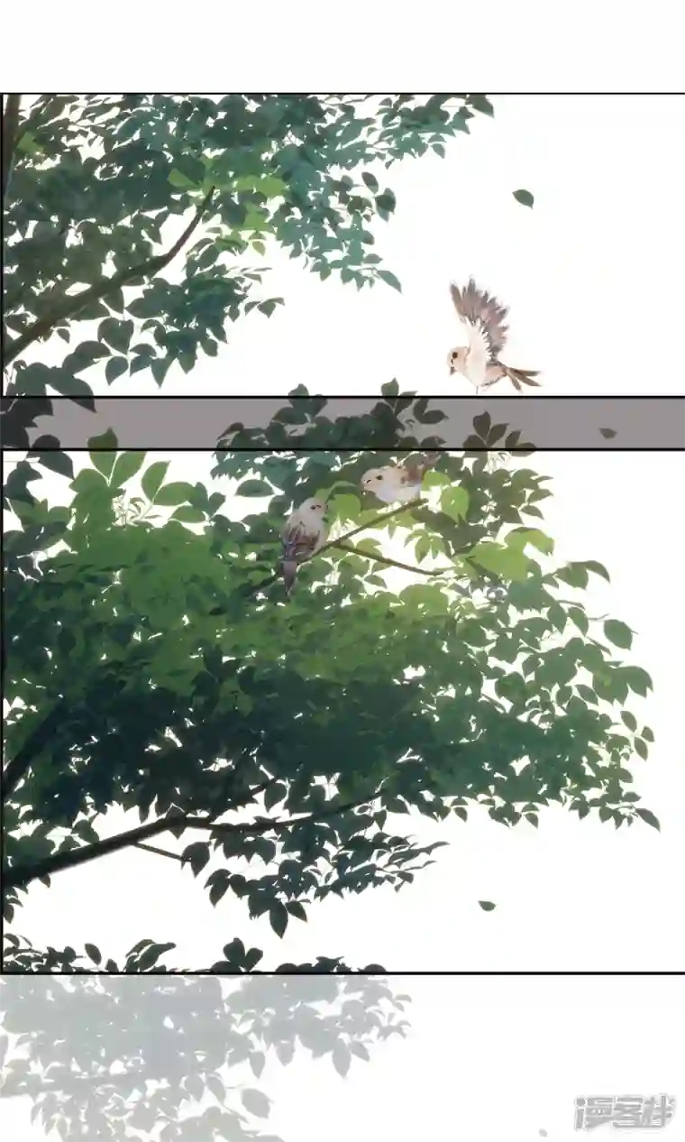 妃夕妍雪第2季第30话 被盯上的贺落落1