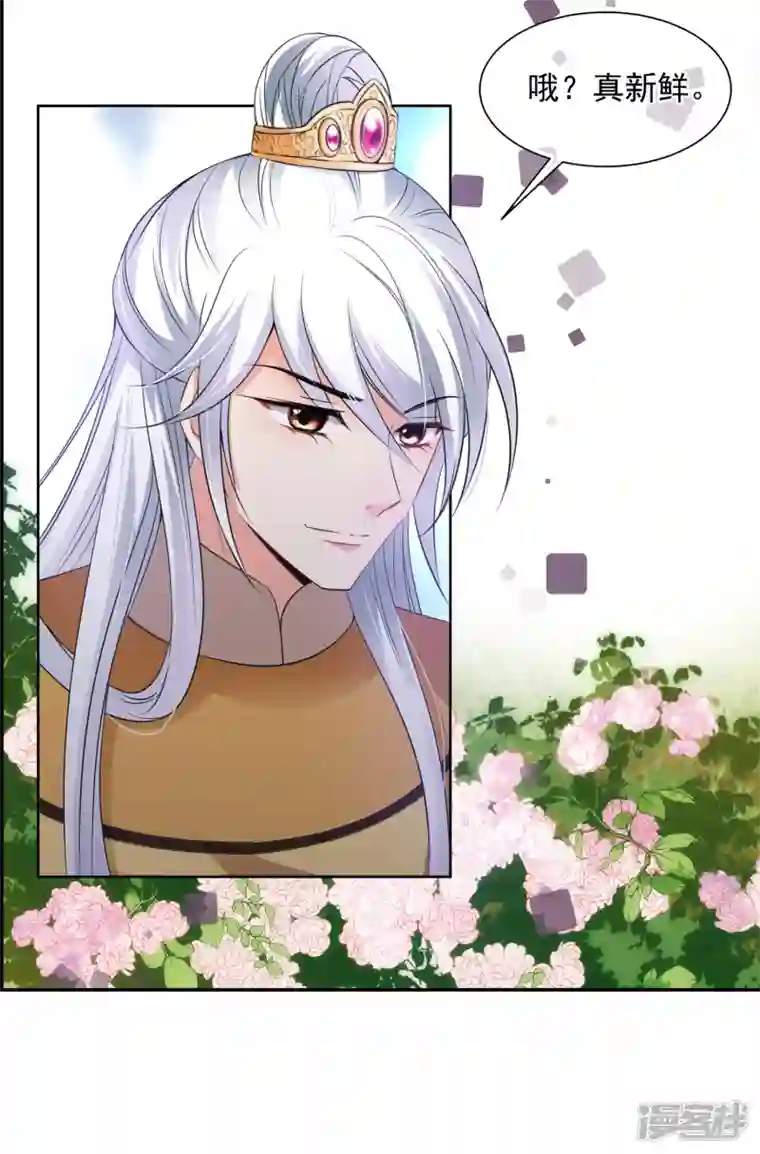 妃夕妍雪第2季第32话 被盯上的贺落落3