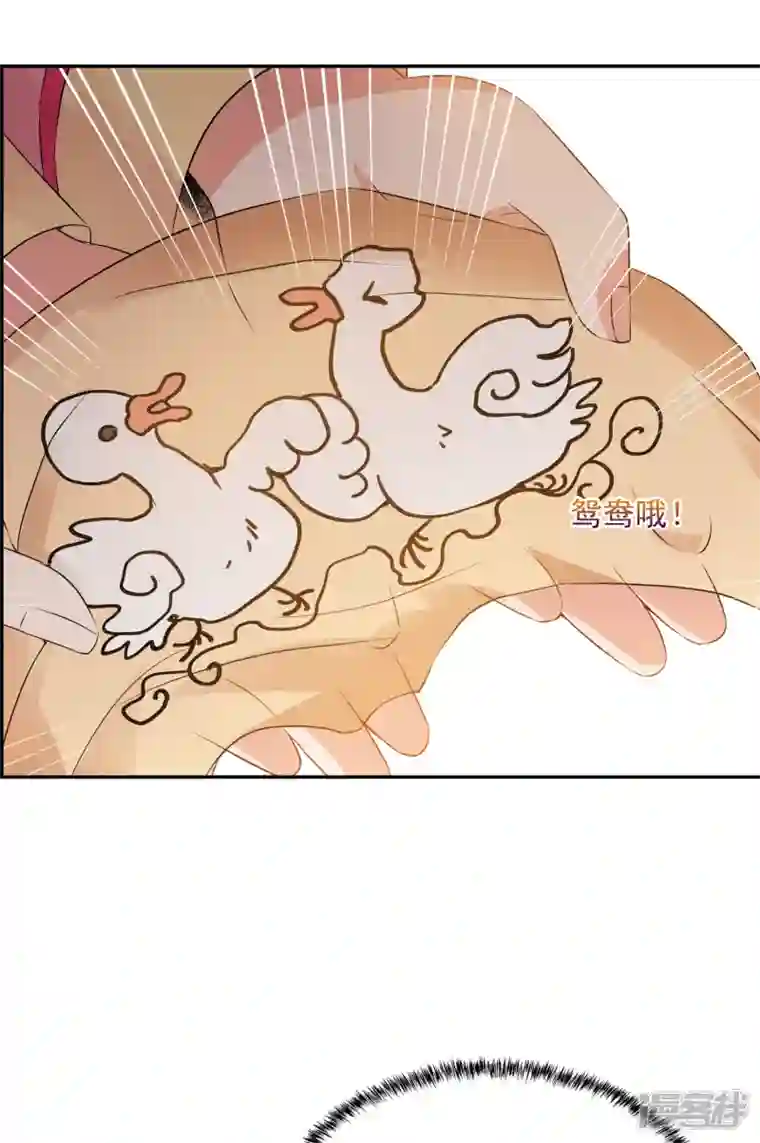 妃夕妍雪第2季第32话 被盯上的贺落落3