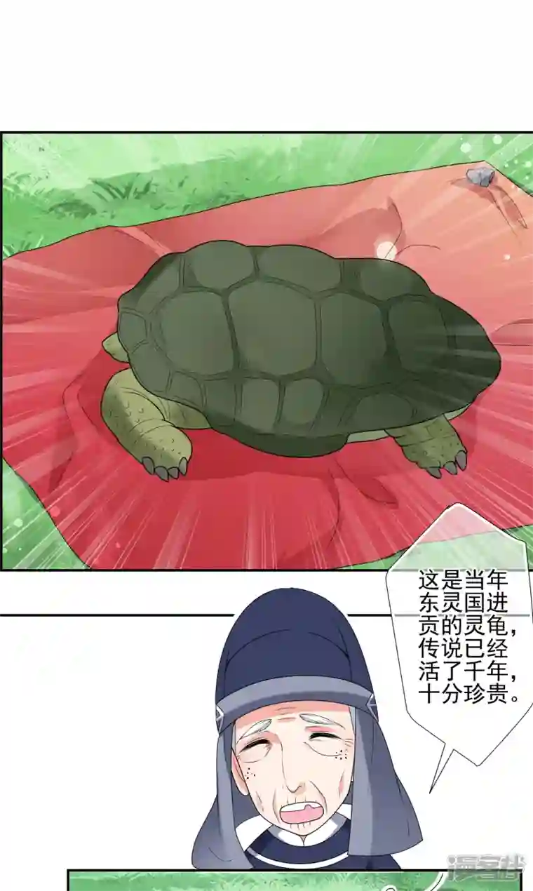 妃夕妍雪第2季第35话 见招拆招3