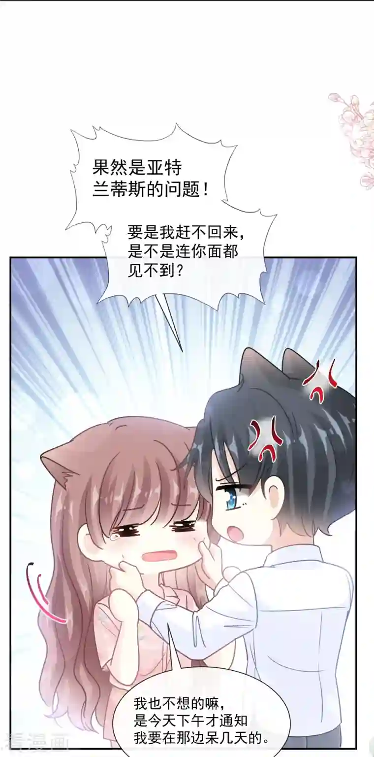 霸道总裁轻轻爱第188话 讨好爱人的方法