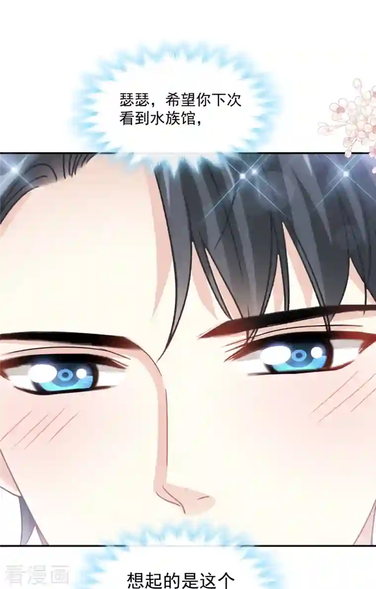 霸道总裁轻轻爱第193话 海底套房