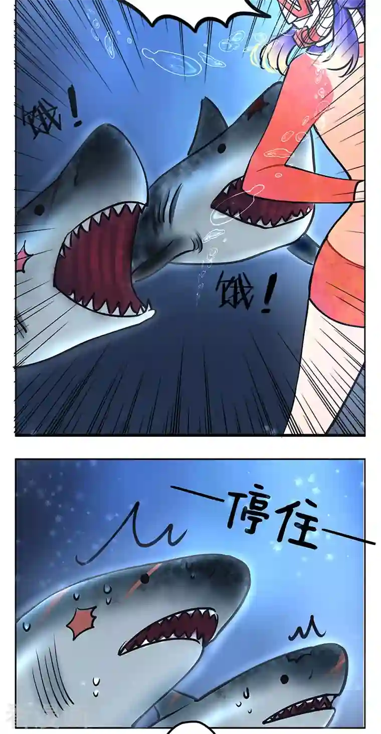 中国娘第215话 潜水吧！大海2