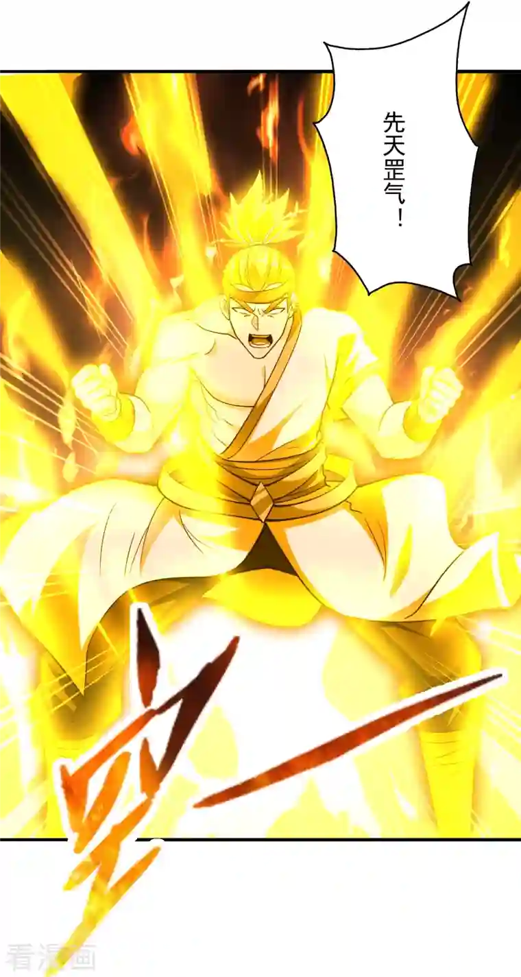 仙武帝尊第256话 强大的玄灵之体！