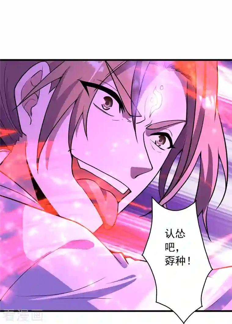 仙武帝尊第260话 锤爆灵塔！