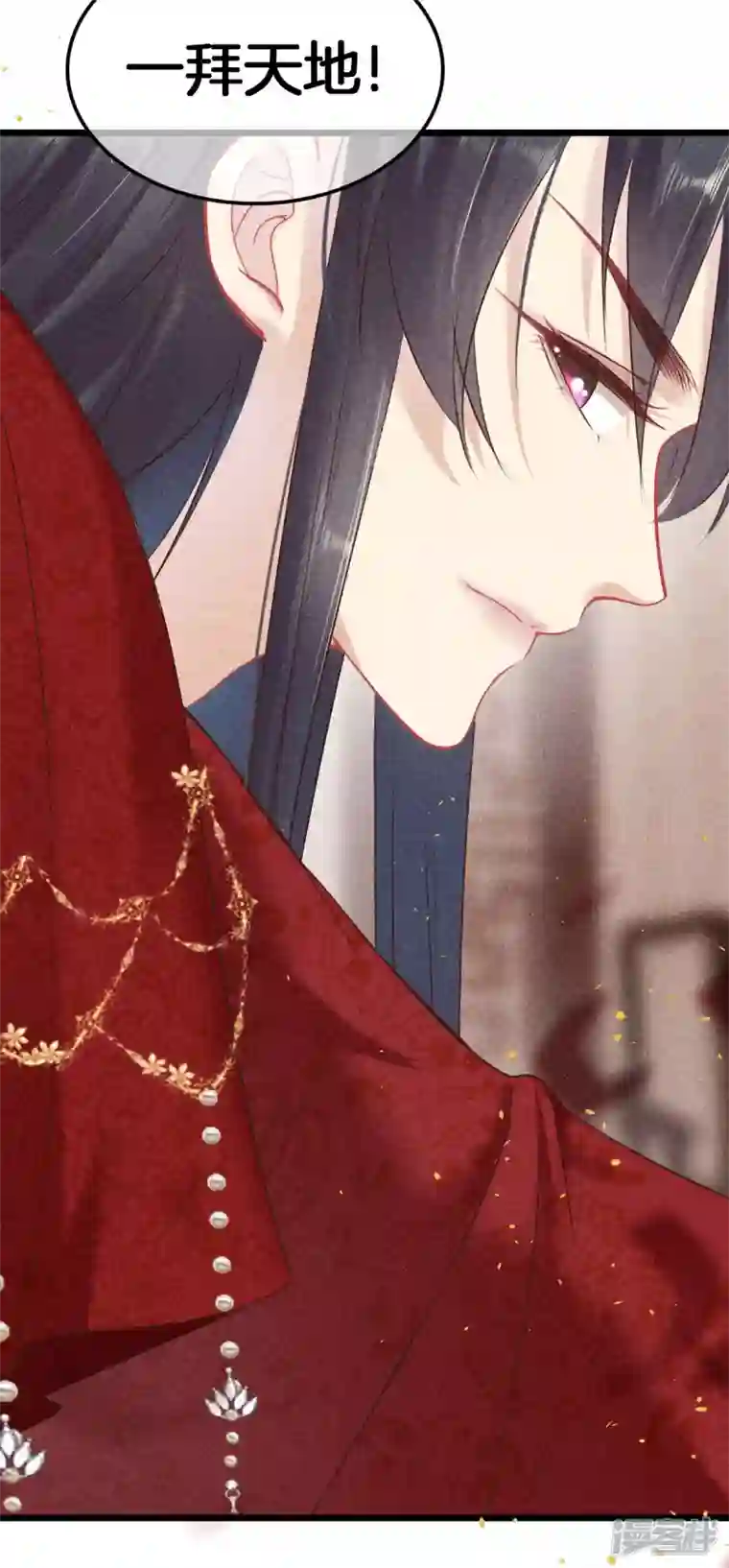 重生之嫡女不善第102话 拜堂礼