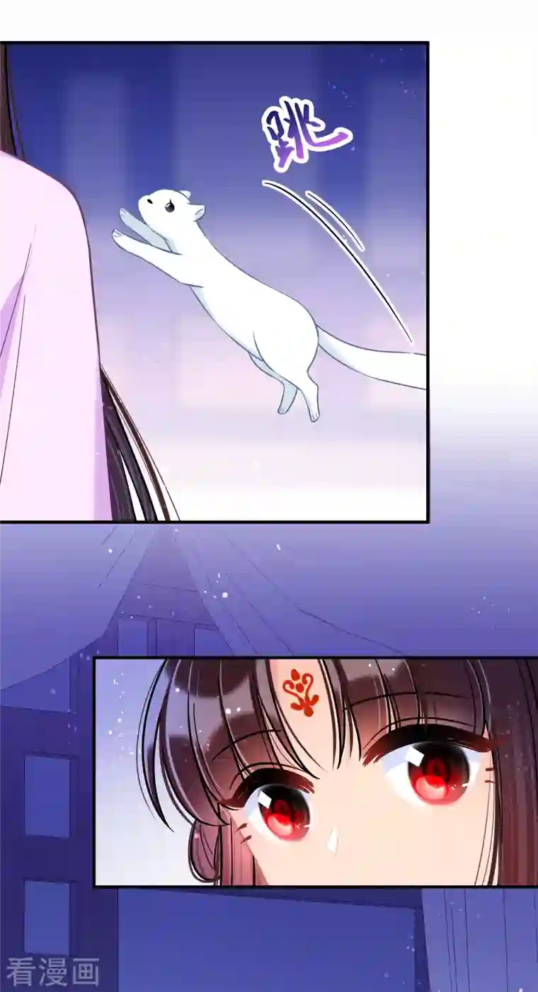 我家陛下总想祸国第50话3 两面为难