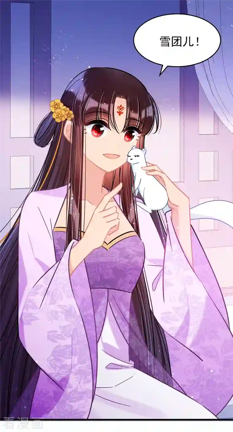 我家陛下总想祸国第50话3 两面为难