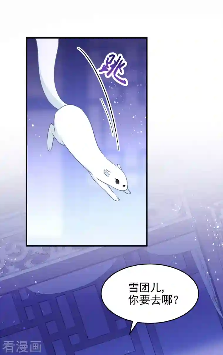 我家陛下总想祸国第50话3 两面为难