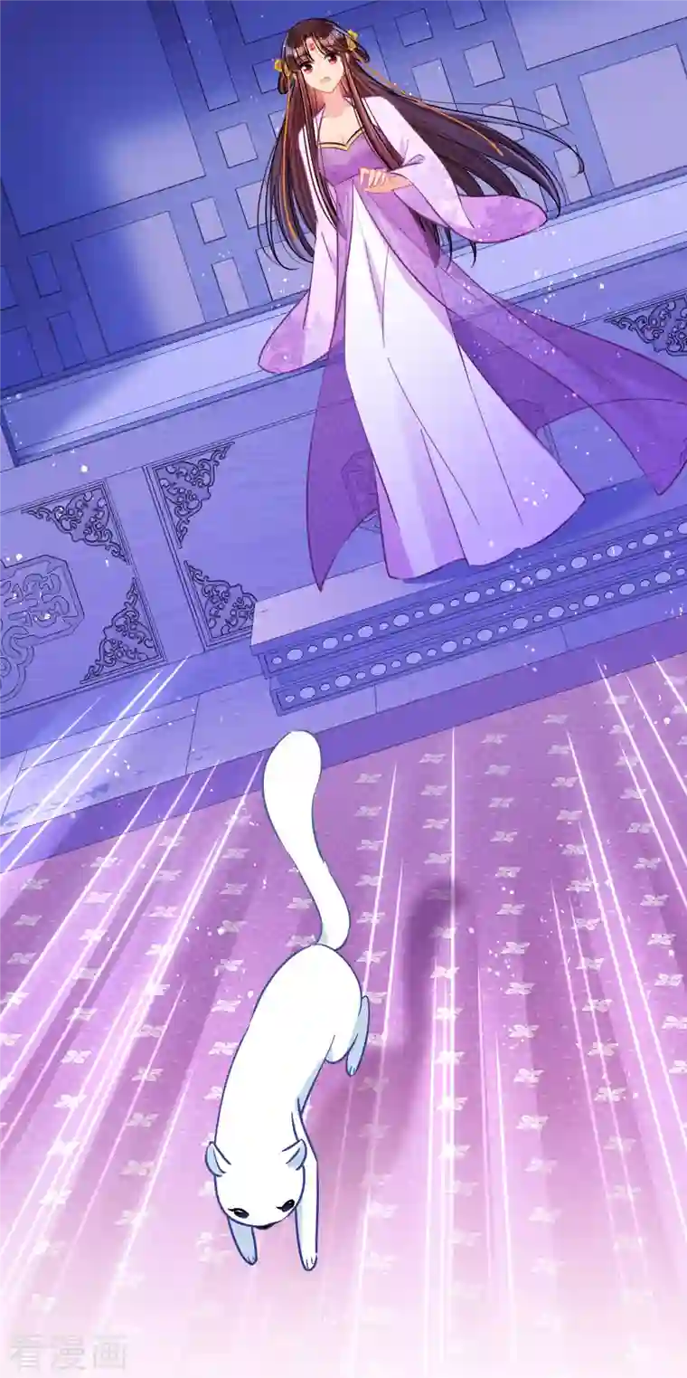 我家陛下总想祸国第50话3 两面为难