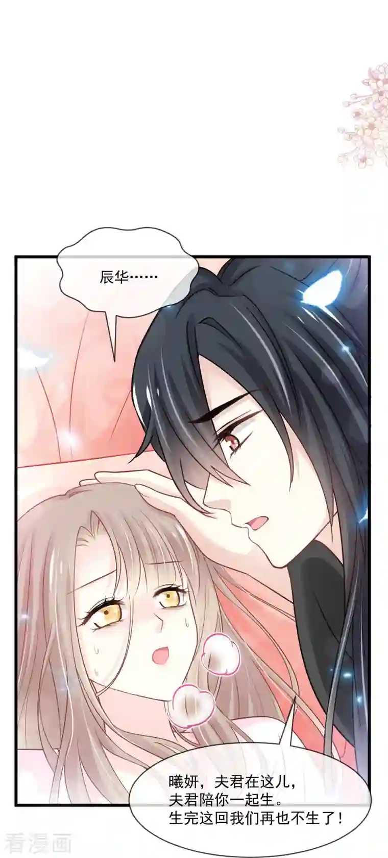 天下第一宠第224话 我们的宝贝