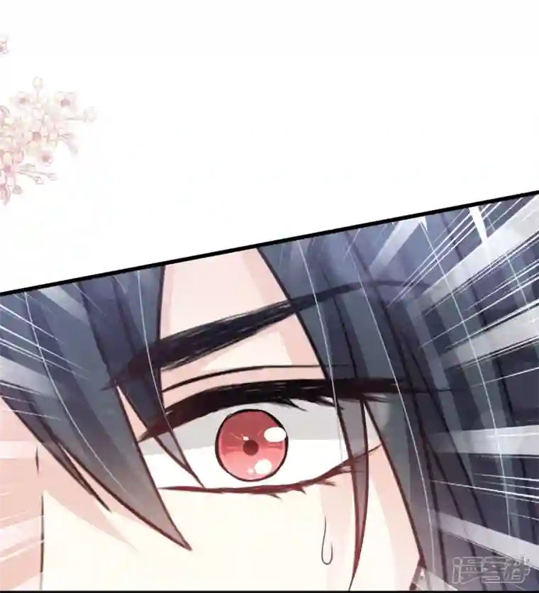 天下第一宠第230话 出发寻药