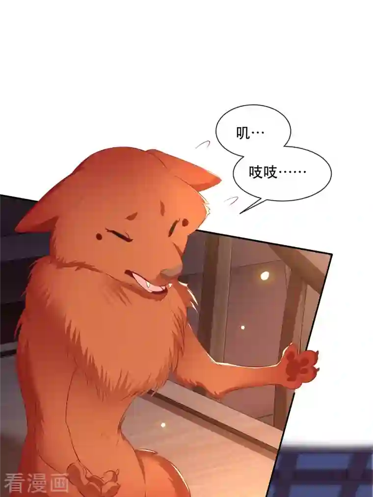 这个王妃路子野第109话 赶紧把裤子脱了