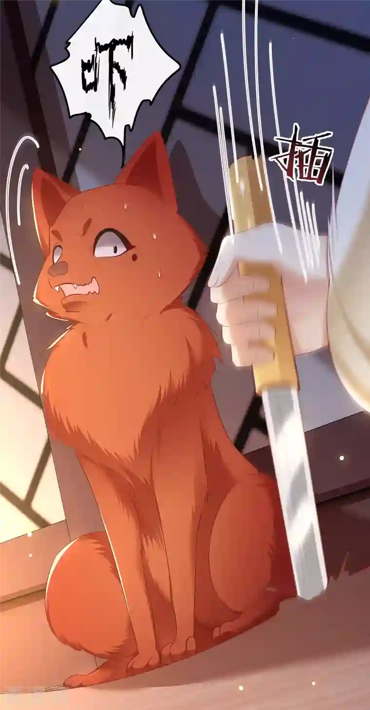 这个王妃路子野第109话 赶紧把裤子脱了