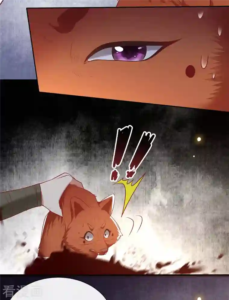 这个王妃路子野第109话 赶紧把裤子脱了