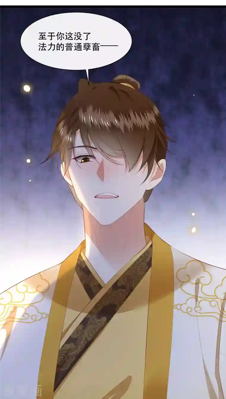 这个王妃路子野第109话 赶紧把裤子脱了