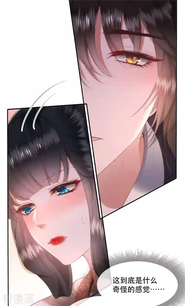 这个王妃路子野第112话 傻乎乎的小麻烦精