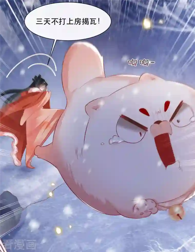 这个王妃路子野第113话 是喜欢还是崇拜？