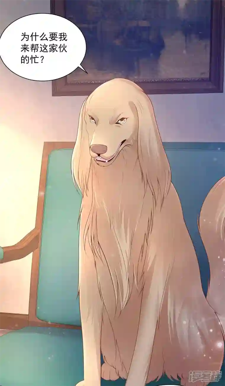 想成为废柴的公爵小姐第153话 恋爱候选人