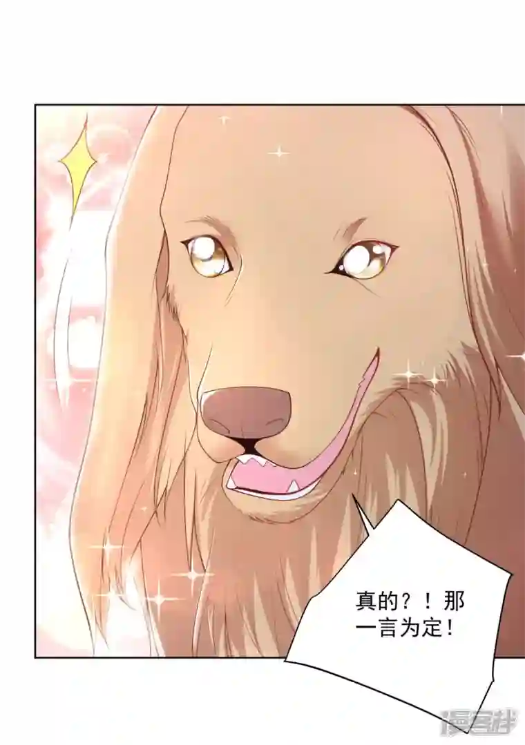 想成为废柴的公爵小姐第153话 恋爱候选人