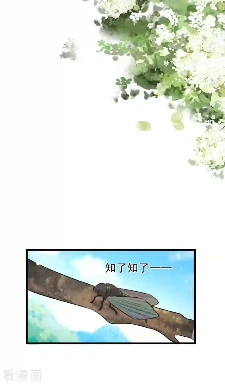 驭兽狂妃第37话 你果然在此