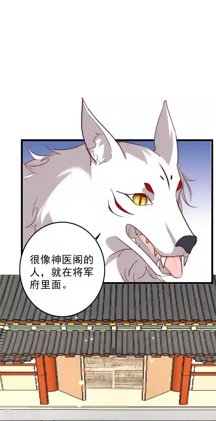 驭兽狂妃第37话 你果然在此