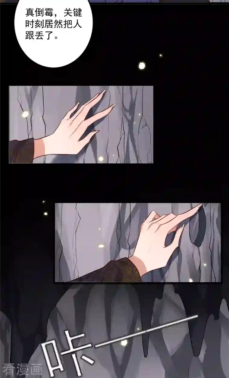 驭兽狂妃第40话 他一定出事了