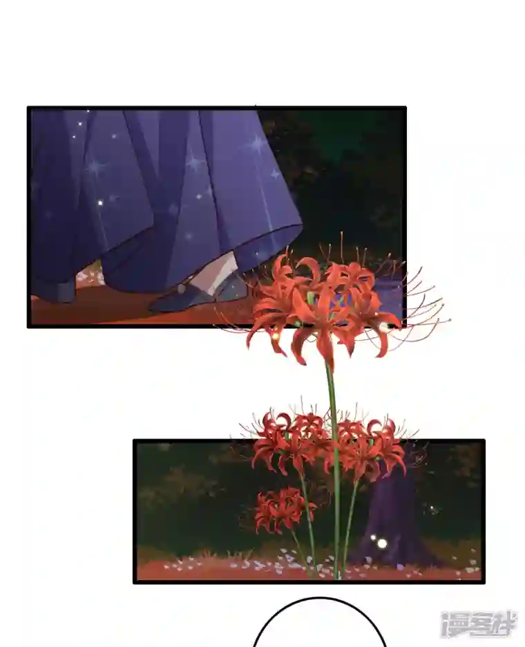 驭兽狂妃第41话 找到他