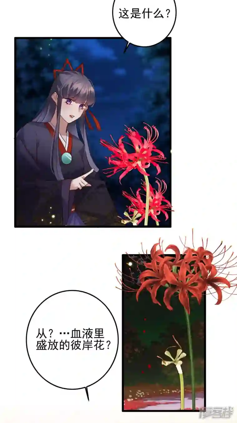 驭兽狂妃第41话 找到他