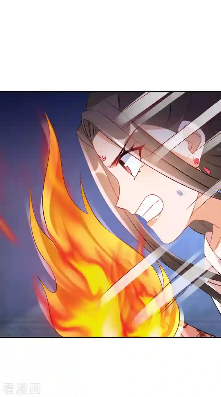 逆天毒妃第221-222话 凡是过往