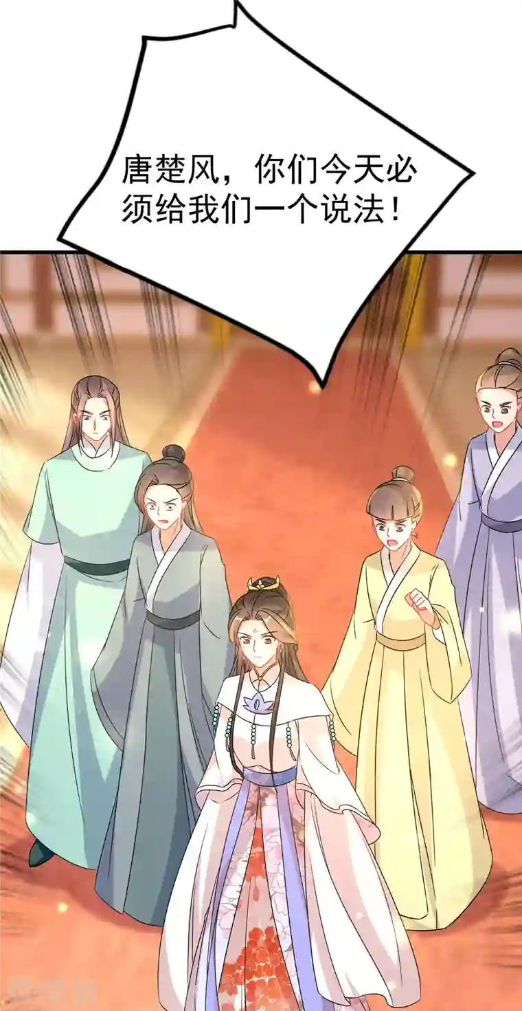 逆天毒妃第229-230话 宴会