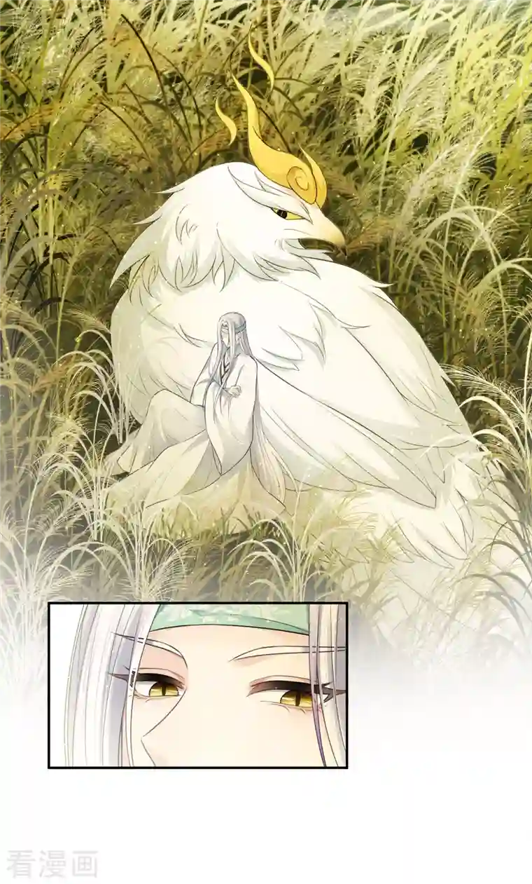 长相思第58话 发誓