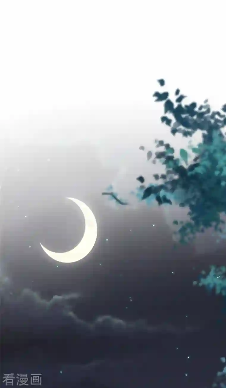 神偷王妃：我家王爷惹不起第58话 对不起没保护好你