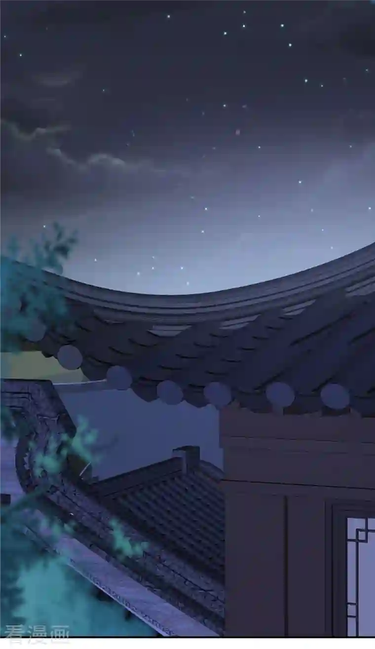 神偷王妃：我家王爷惹不起第58话 对不起没保护好你