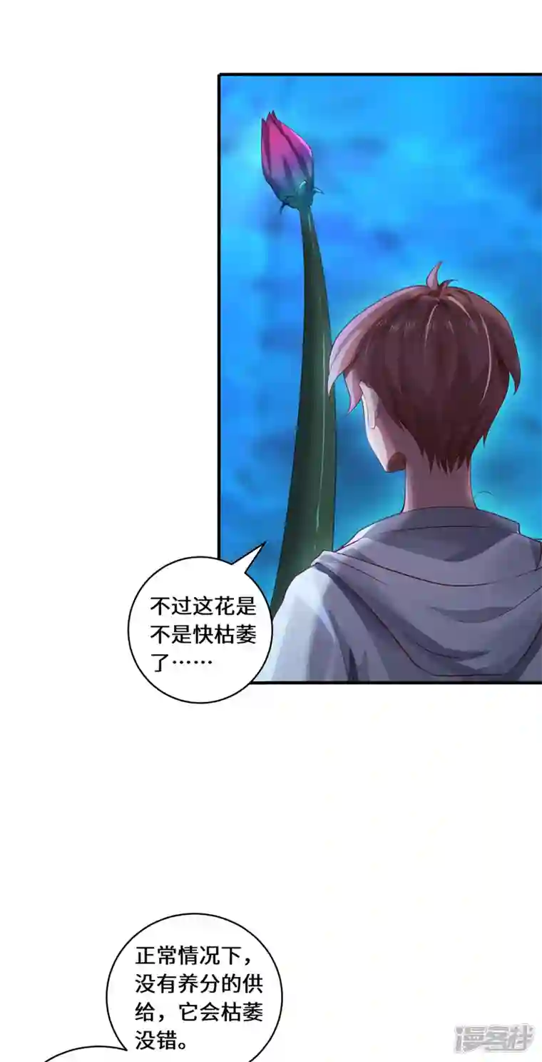 吾本是猫第38话 见面